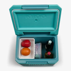 Tag Along Too Spinner Cooler